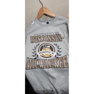 University of Wisconsin Hoodie Gray 2XL Small Stain